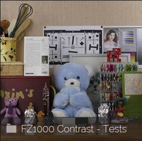 FZ1000 - Contrast Tests
