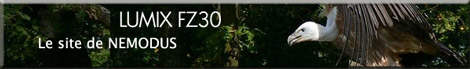 http://www.nemodus.com/fz30/img/Nemodus.jpg