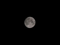 Lune 8 mpx