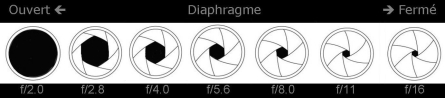Diaphragmes