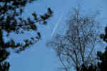 Blue sky